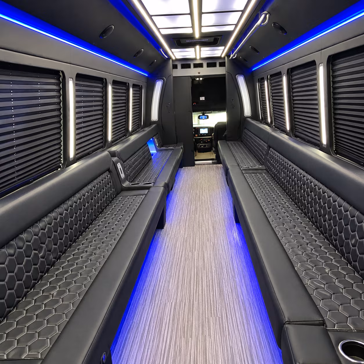 albany birthday party bus rental