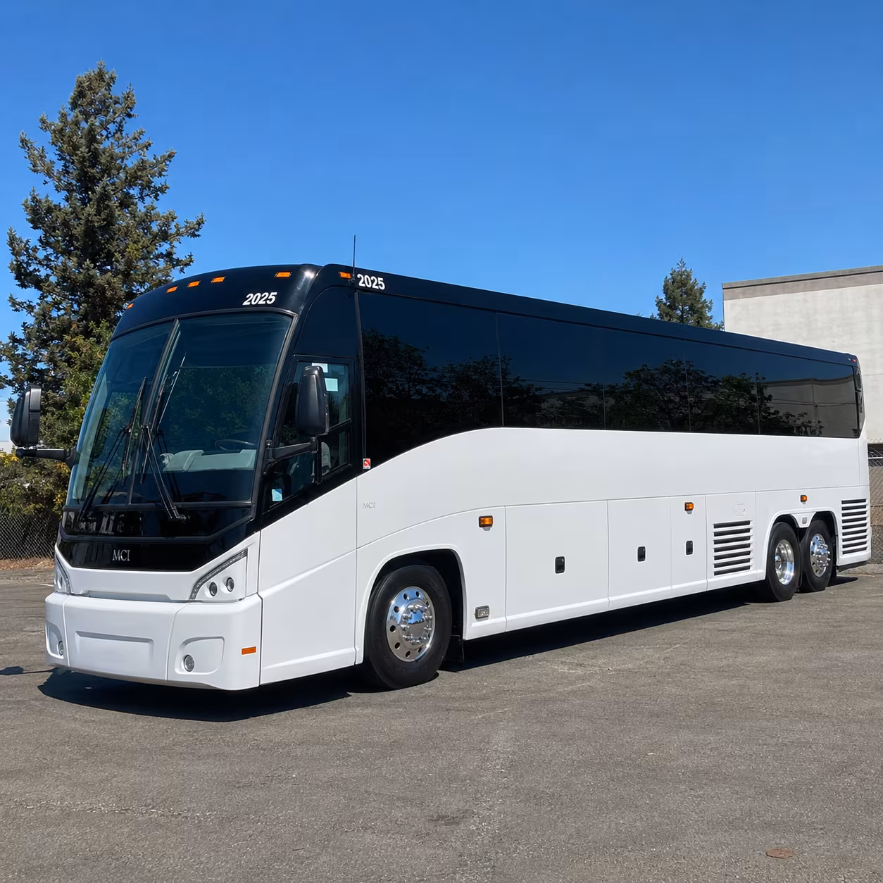 albany bus rental service area