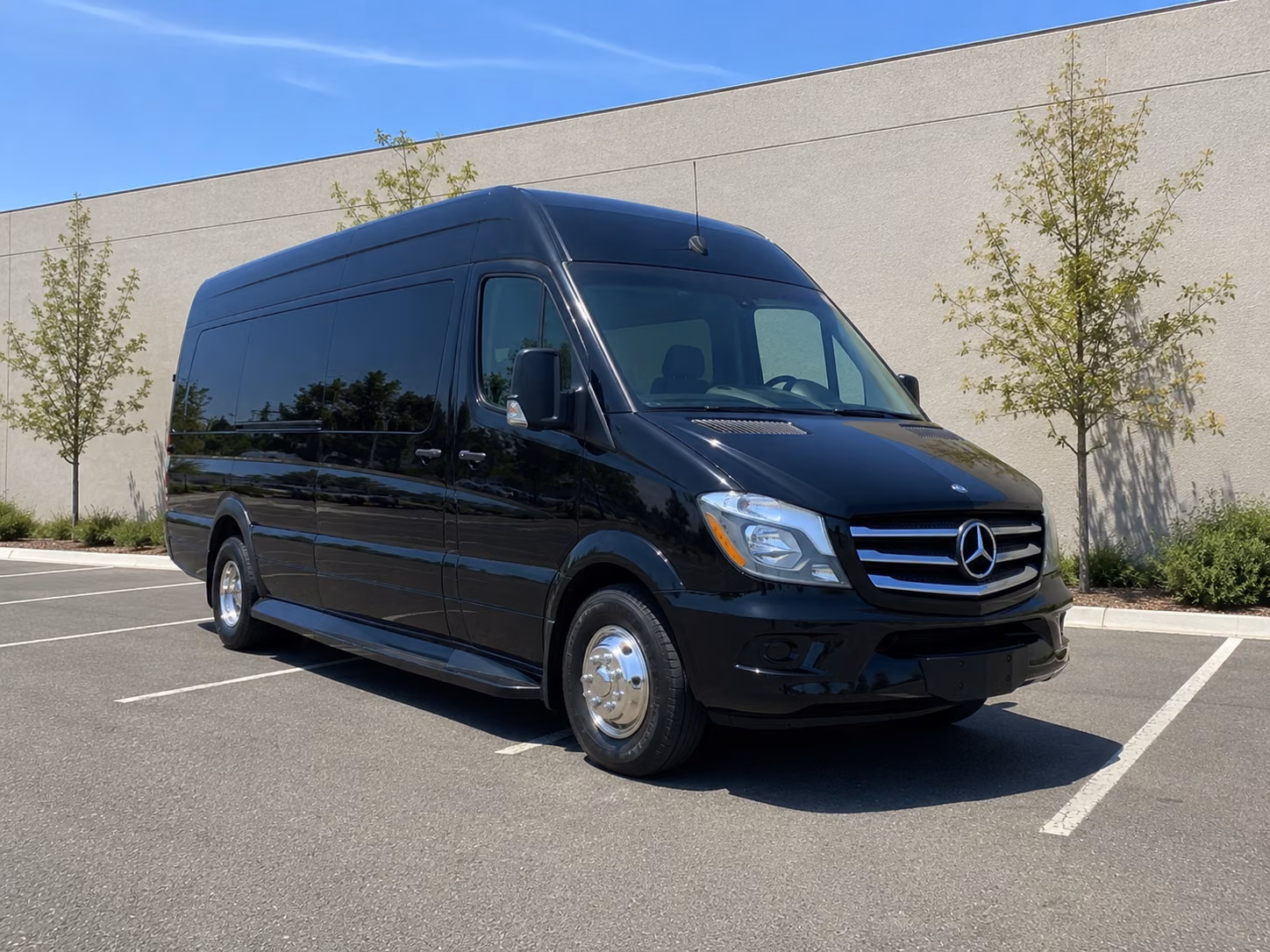 albany sprinter limousine