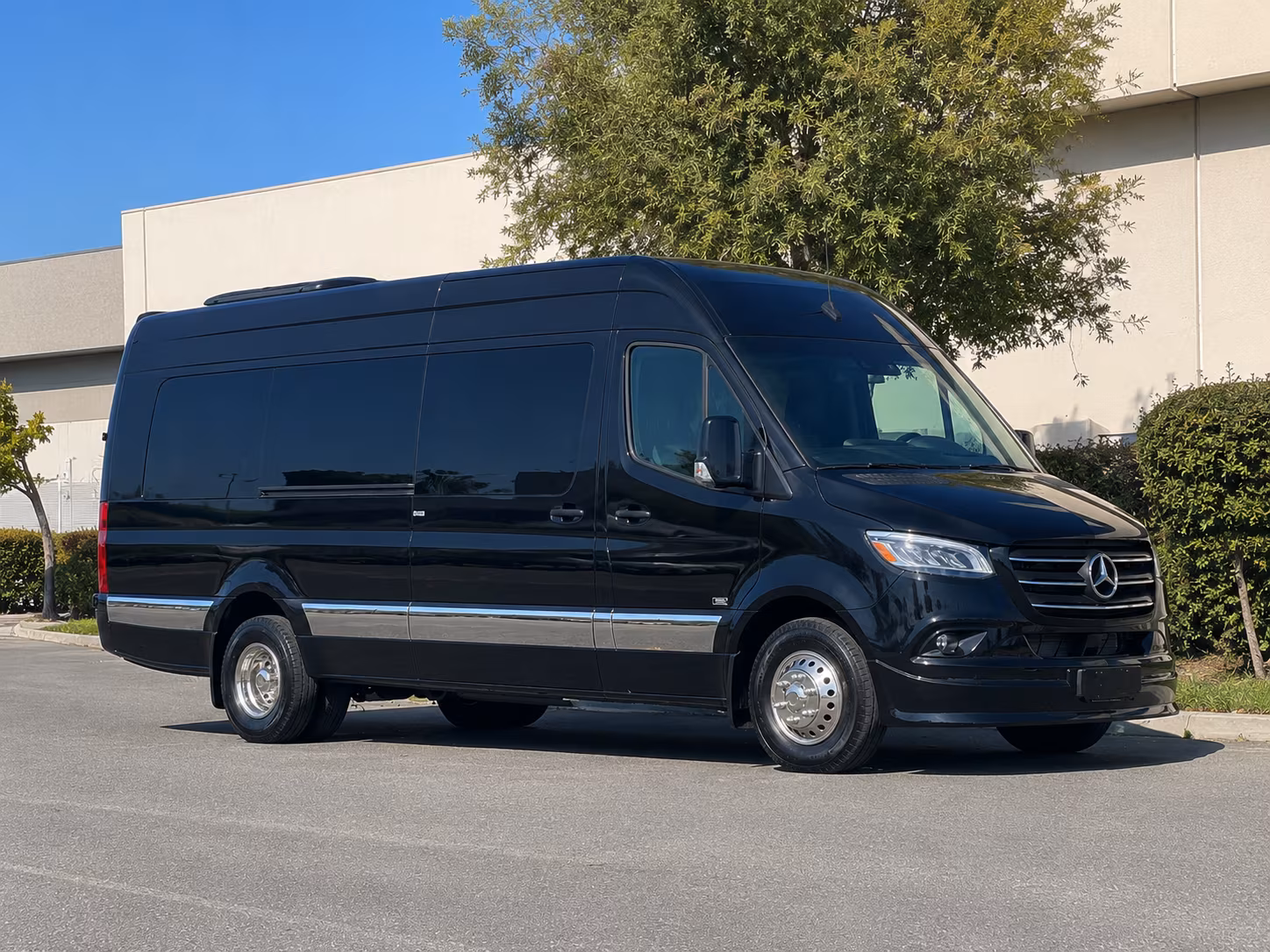 albany sprinter van with driver