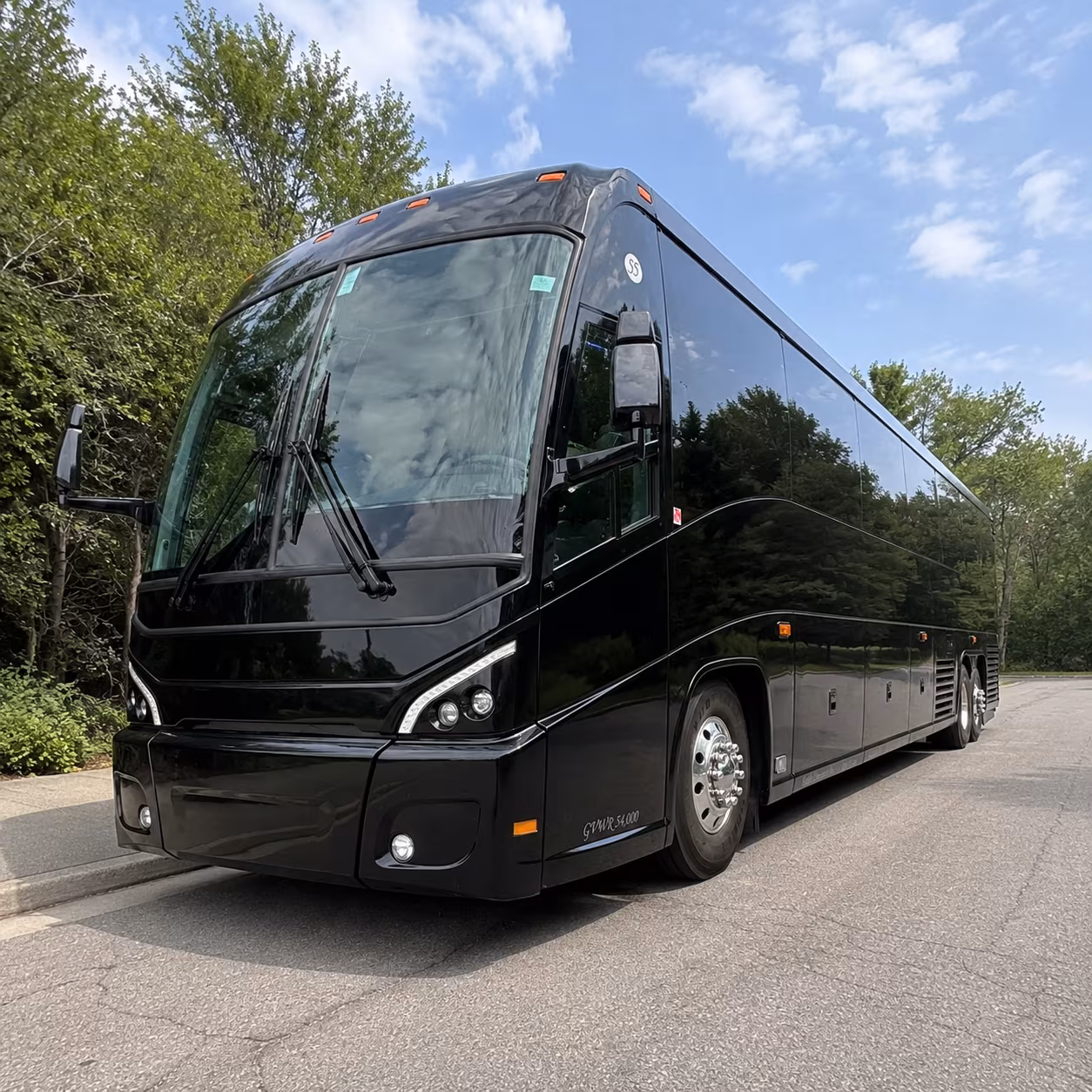 albany wedding transportation